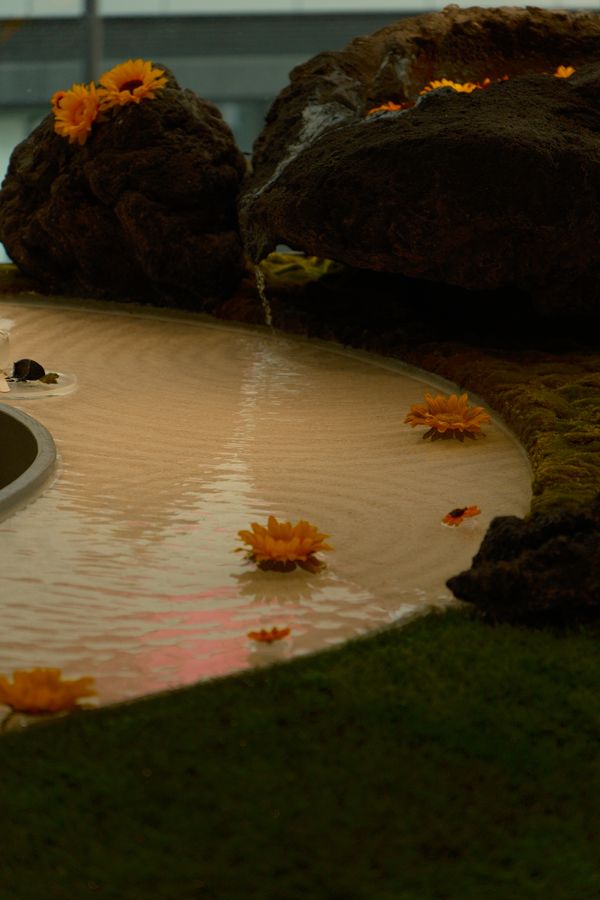 Photograph by Albert Youssef — aesthetics