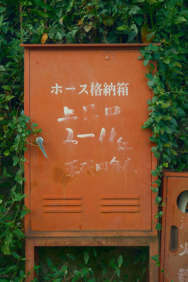 Photograph by Albert Youssef — aesthetics