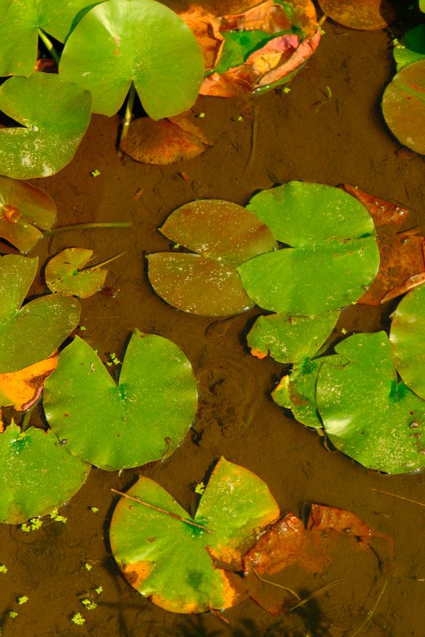 Photograph by Albert Youssef — aesthetics