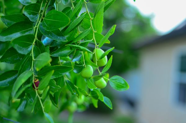 Photograph by Albert Youssef — aesthetics