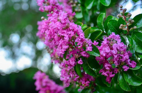 Photograph by Albert Youssef — aesthetics