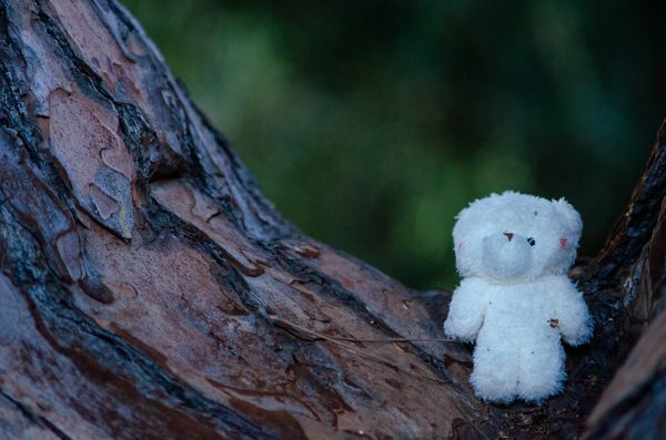 Photograph by Albert Youssef — aesthetics