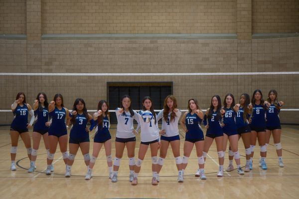 Photograph by Albert Youssef — sport