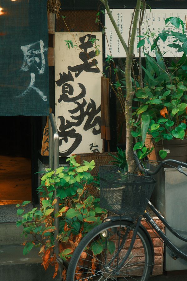 Photograph by Albert Youssef — street