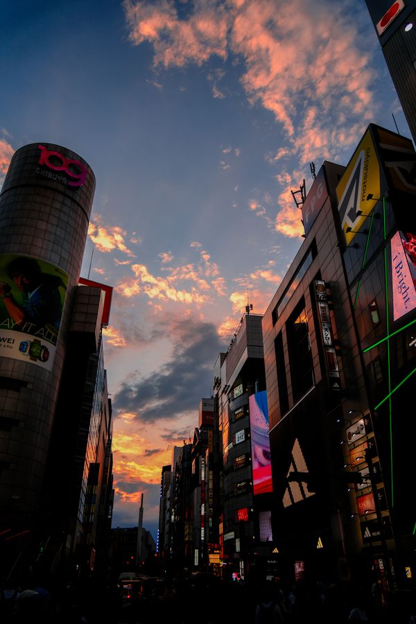 Photograph by Albert Youssef — street